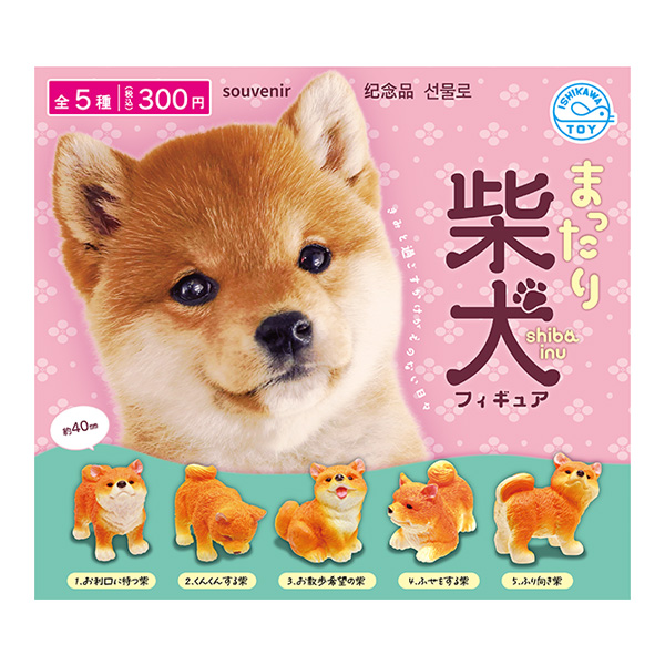 まったり柴犬フィギュア